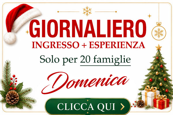 Biglietto di ingresso Tempio di Babbo Natale